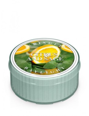 citrus-and-sage-daylight-kringle-candle